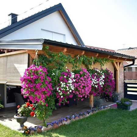 Apartman Tea Valpovo Exterior photo